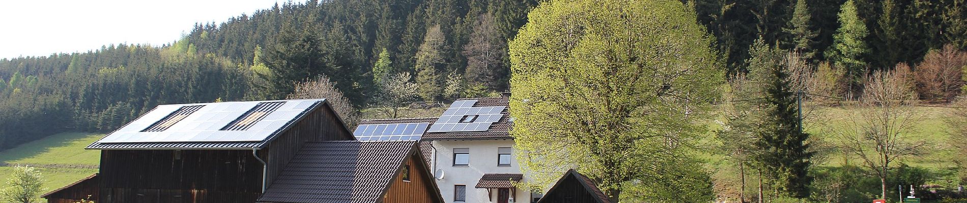 Tour Zu Fuß Wallenfels - Leutnitztal-Weg RT 12 - Photo