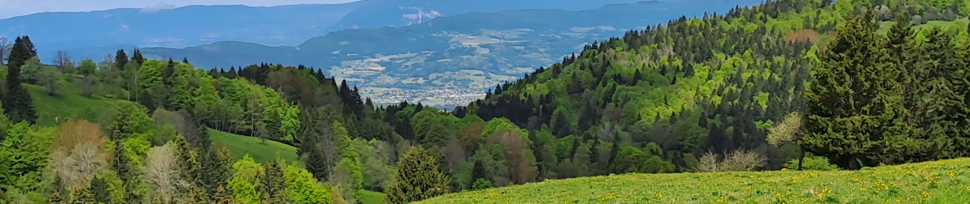 Tour Wandern Saint-François-de-Sales - la plate 20-05-24 - Photo