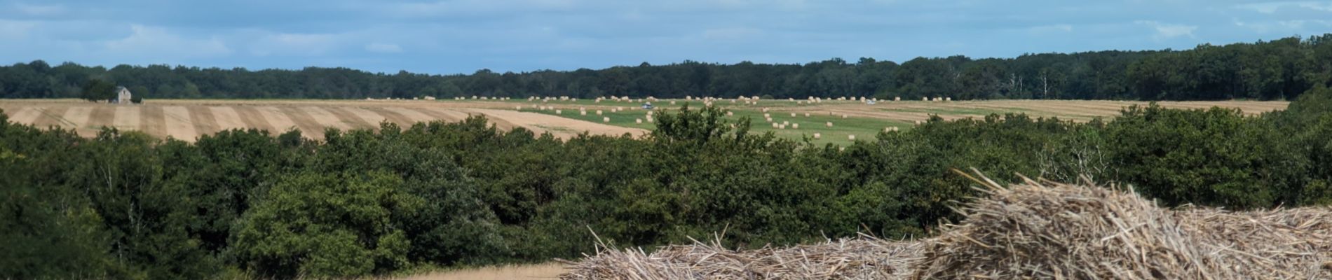 Randonnée Marche Chissay-en-Touraine - Chissay-en-Touraine - Zig zag Beaune les Durdents - 18.2km 330m 3h50 - 2024 08 14 - Photo