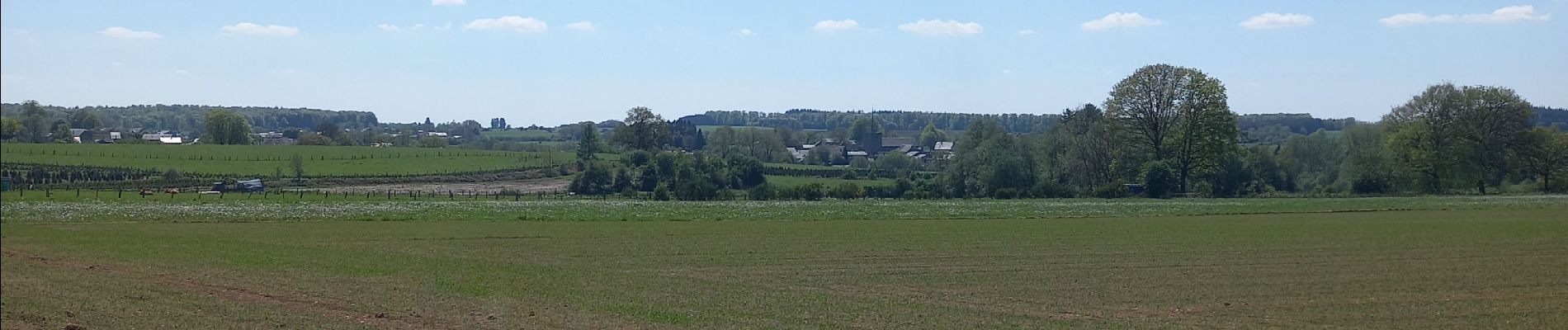 Tocht Stappen Bertrix - Jéhonville 11km - Photo