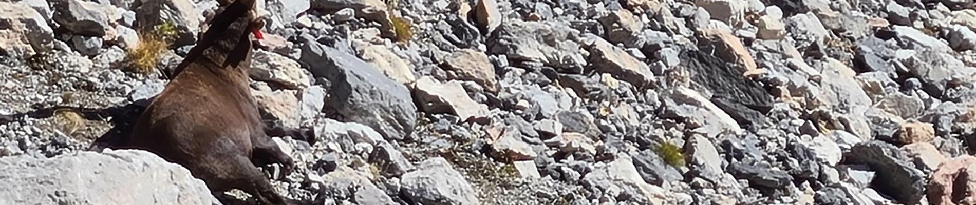 Tour Wandern Névache - col de casse blanche - Photo