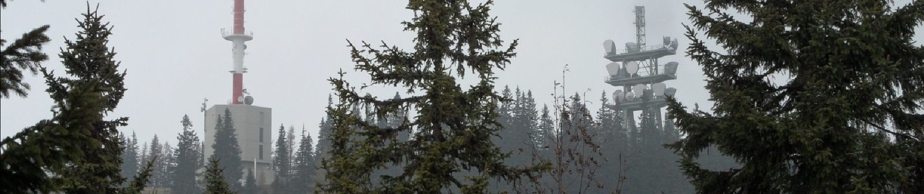 Tocht Te voet Gemeinde Trattenbach - Schwarzenberg-Rundwanderweg T6 - Photo