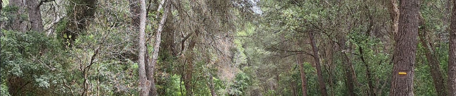 Tour Wandern Vic-la-Gardiole - Circuit des salines  - Photo