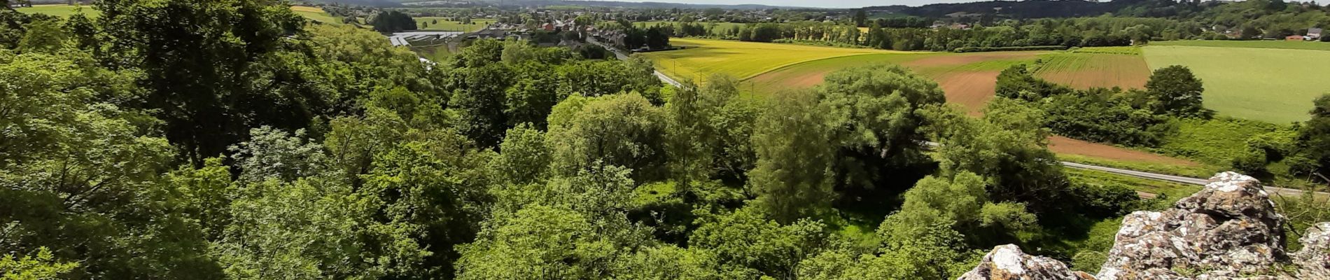 Randonnée Marche Jemeppe-sur-Sambre - grotte de spy - Photo