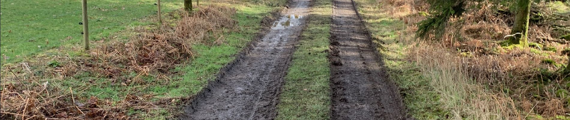 Tocht Paardrijden Léglise - Campagne Traimont - Photo