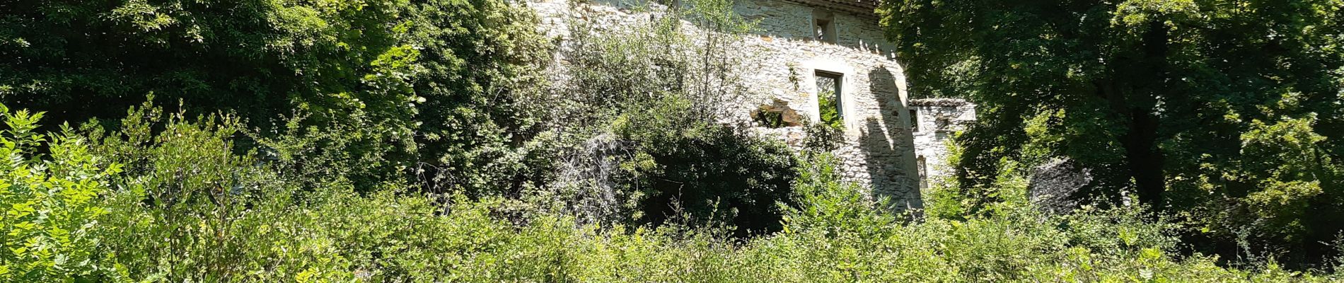 Randonnée Marche Saou - saou bergerie patuel auberge muletiers  - Photo