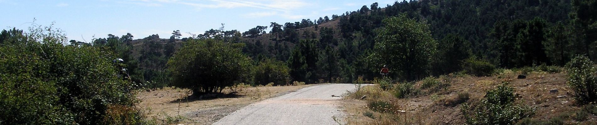 Randonnée A pied Guadarrama - [SL-M 44006] Bosque plateado - Photo