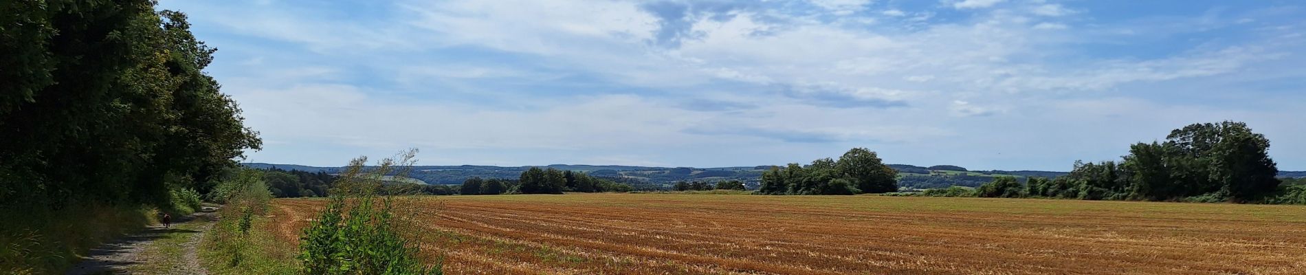 Tour Wandern Beauraing - Revogne - Photo