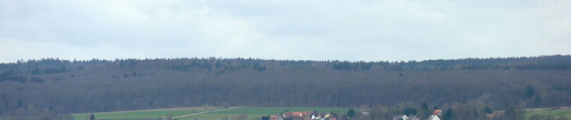 Tour Zu Fuß Niemetal - Rundwanderweg Niemetal 2 - Photo