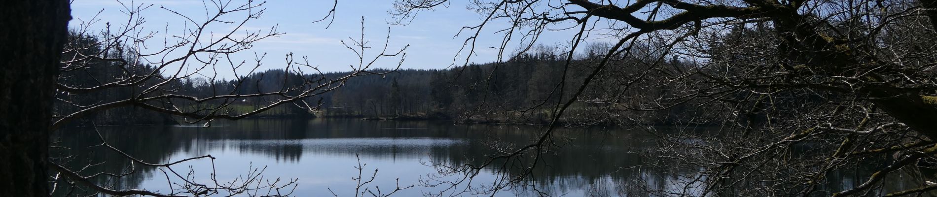 Percorso A piedi Waimes - Tour du lac de Robertville et détour jusqu'au château de RheinhardStein - Photo