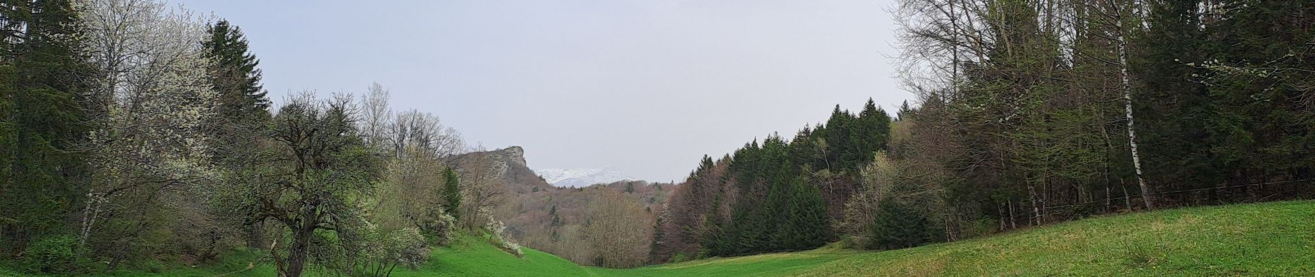 Tour Wandern La Thuile - La Thuile 08-0424 - Photo