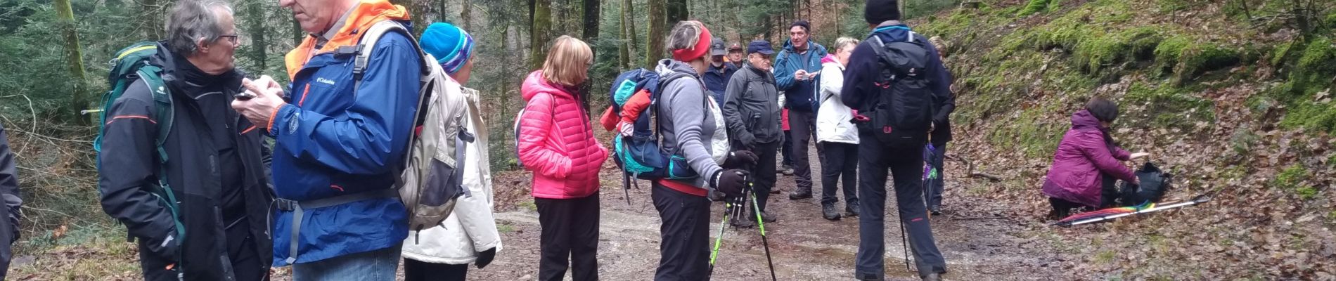 Trail Walking Masevaux-Niederbruck - randonnée CVG Seigneurie aller - Photo