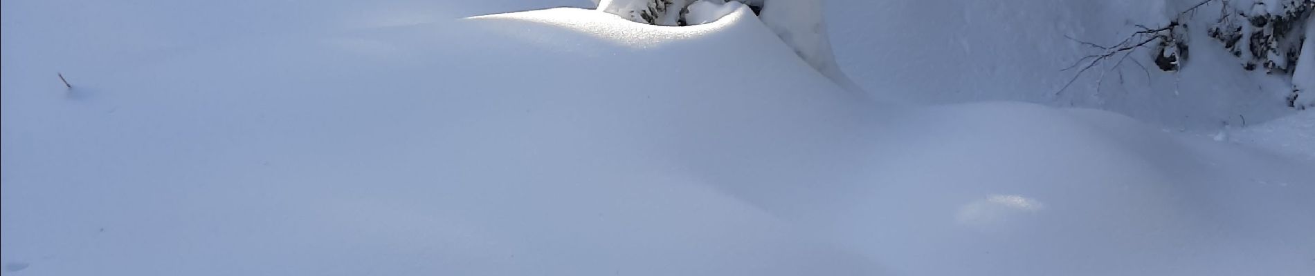 Tocht Sneeuwschoenen Engins - lans 2 - Photo