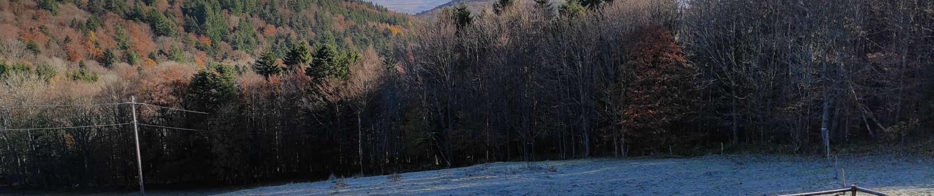 Tour Wandern Uffholz - Col Herrenfluch Freundstein Molkenrain - Photo