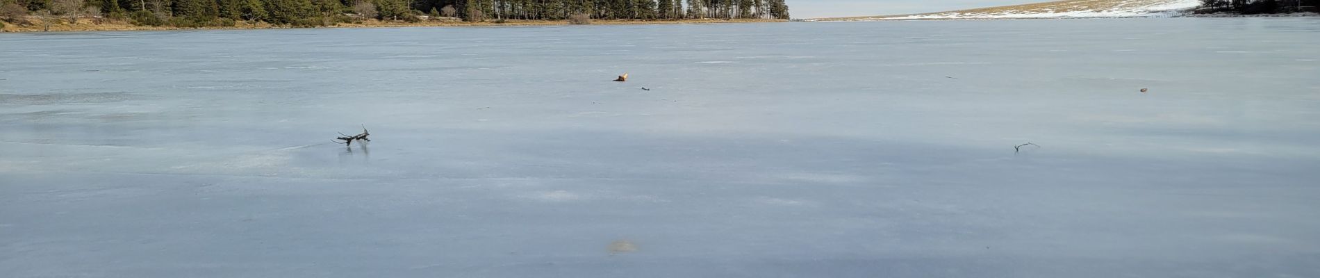 Tocht Stappen Saulzet-le-Froid - pessade Serviere_T - Photo