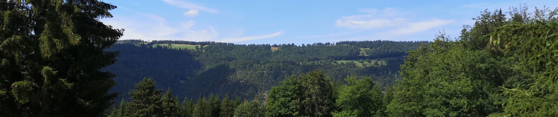 Randonnée Marche Moutier - Moutier  - Photo