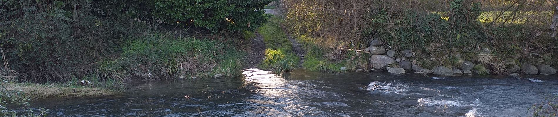 Trail Mountain bike Livron - reconnaissance bords de l'Ousse 1 - Photo