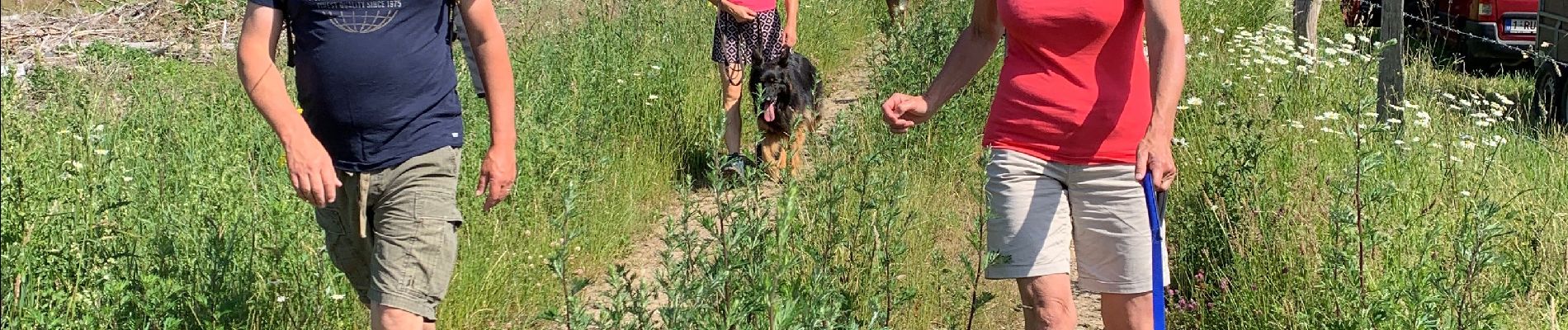 Randonnée Marche Martelange - Club canin chestrolais juin 2019 - Photo