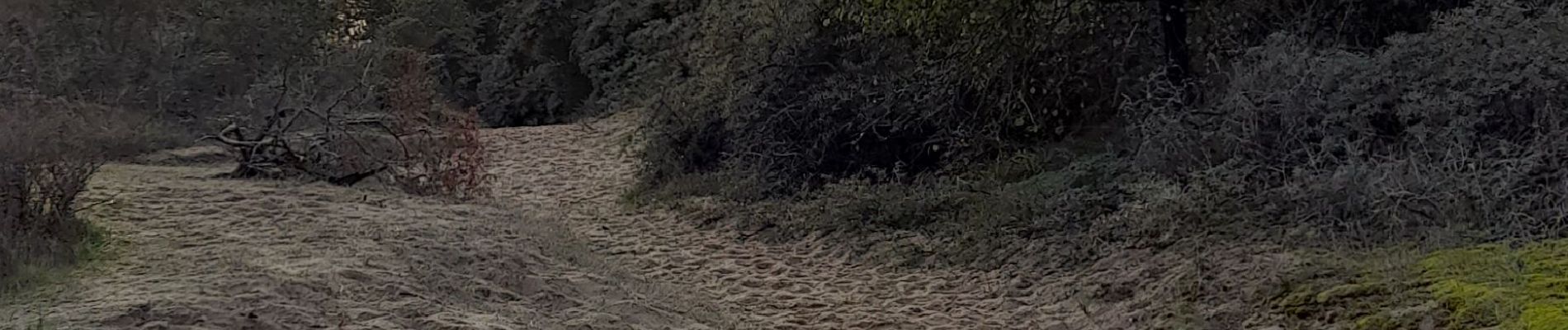 Randonnée Marche Camiers - Baie de Canches et retour par la mer - Photo