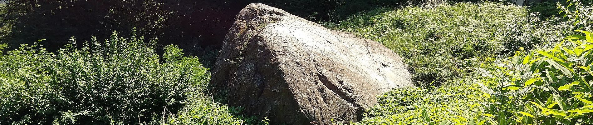 Tour Zu Fuß Miazzina - P02c - Memoriale Alpini - Alpe della Chiesa - Photo