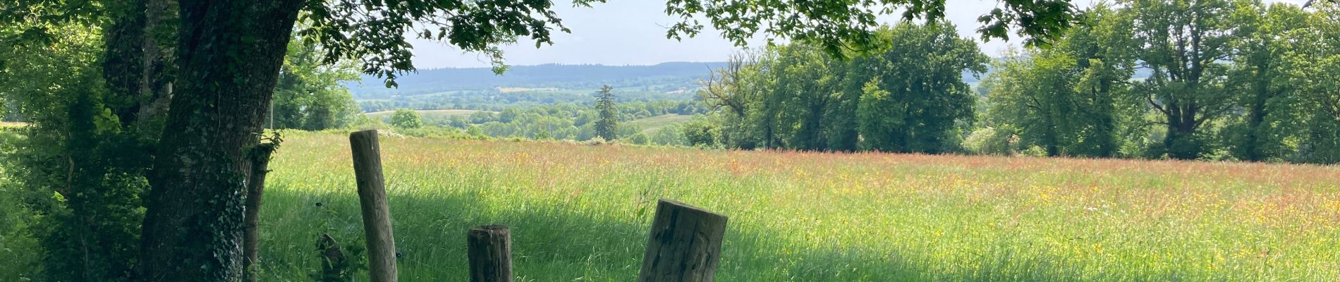 Trail Walking Le Cercueil - Le Cercueil  - Photo