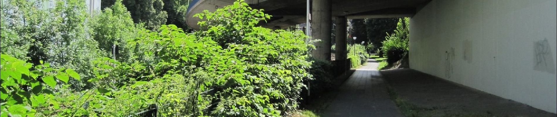 Tour Zu Fuß Unbekannt - Rundweg A5 Holthauser Hangweg - Photo