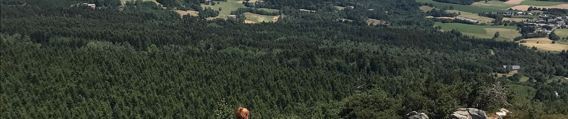 Tocht Stappen Araules - Suc de Lizieux - Photo