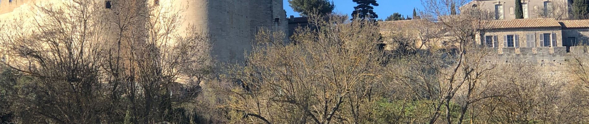 Tour Wandern Villeneuve-lès-Avignon - R.S. La plaine de l’Abbaye à VLA - Photo