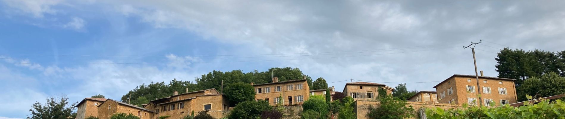 Excursión Senderismo Porte des Pierres Dorées - Jarnioux / 15 km - Photo