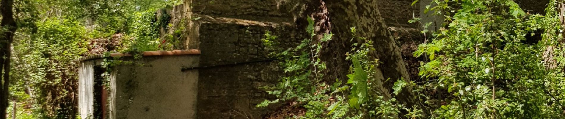 Excursión Marcha nórdica La Barben - la barben. sufferchoix,  - Photo