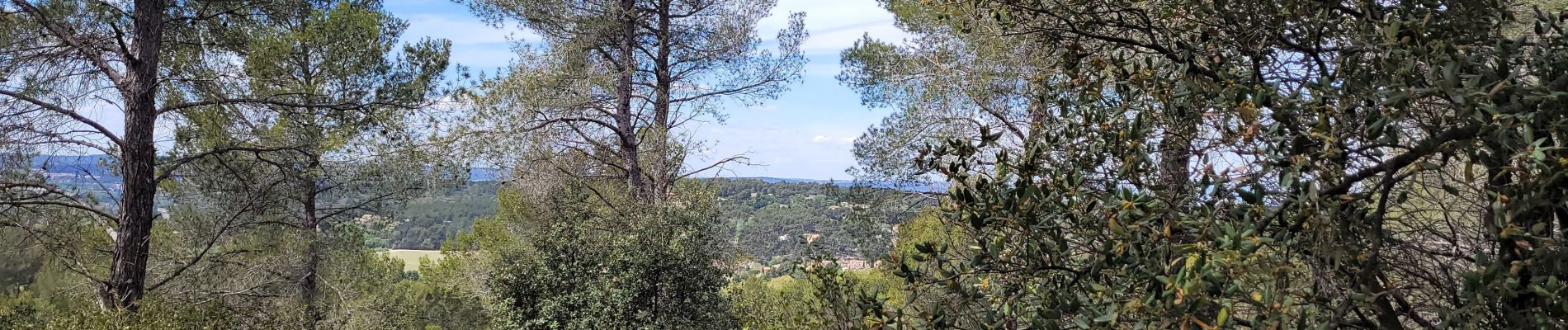 Trail Walking Bouc-Bel-Air - Bouc Bel Air - Photo