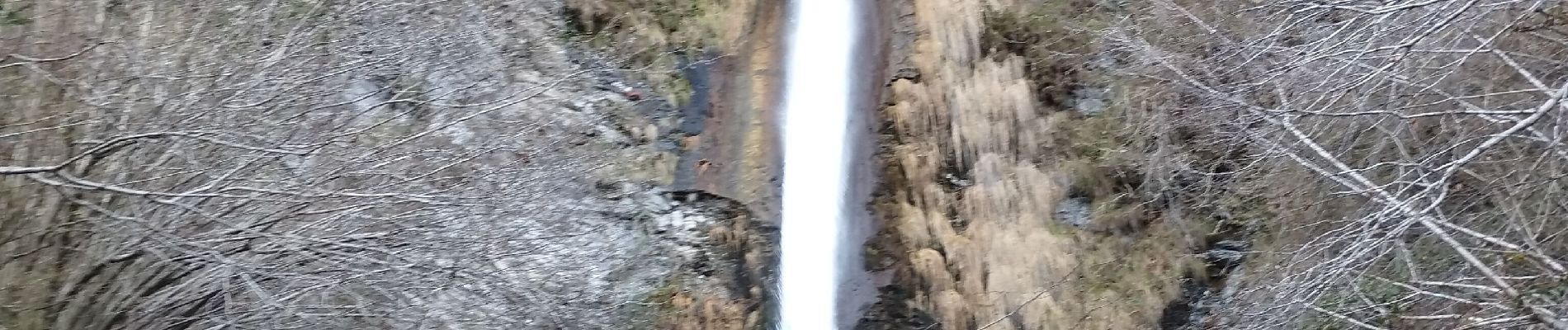 Tour Wandern Laruns - La cascade de seris - Photo