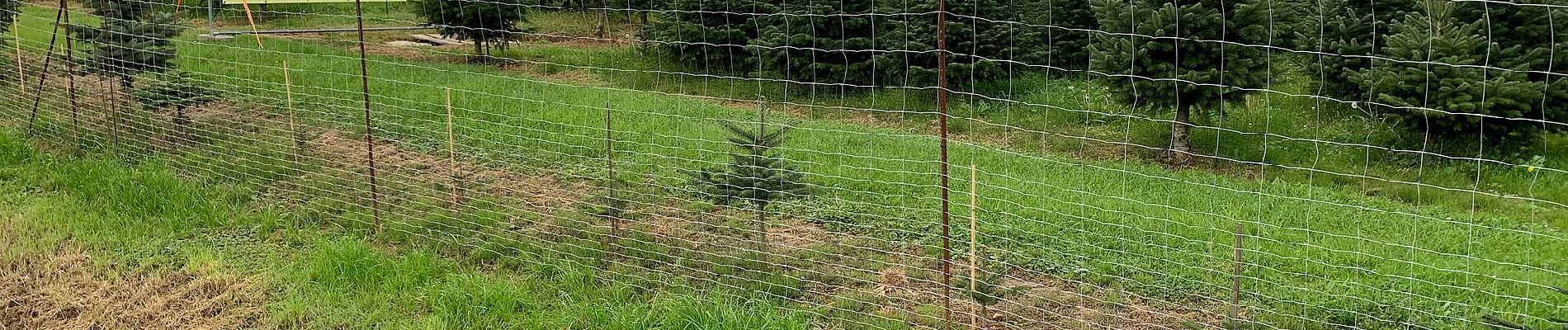 Tour Zu Fuß Grafendorf bei Hartberg - Hartberg Eggendorf Grafendorf - Photo