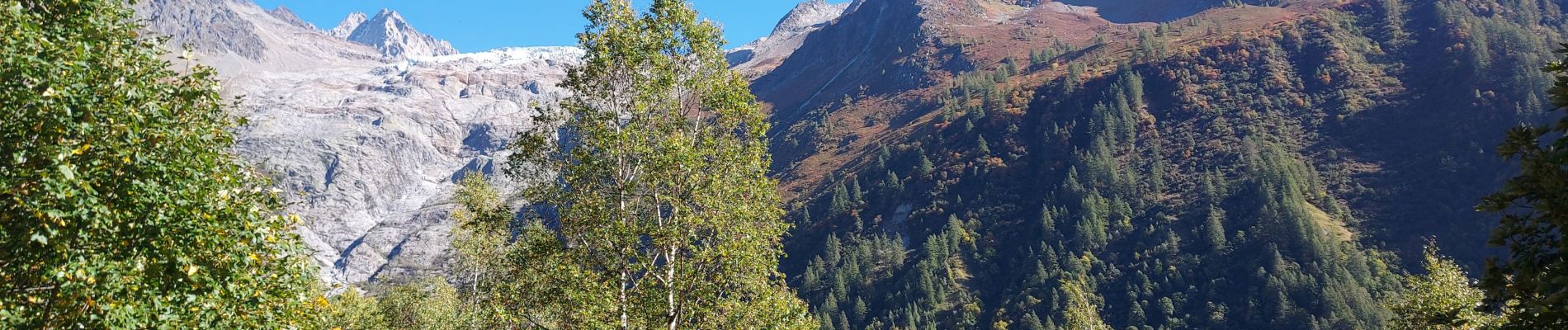 Tour Wandern Chamonix-Mont-Blanc - 20231011 Montroc Le Tour - Photo