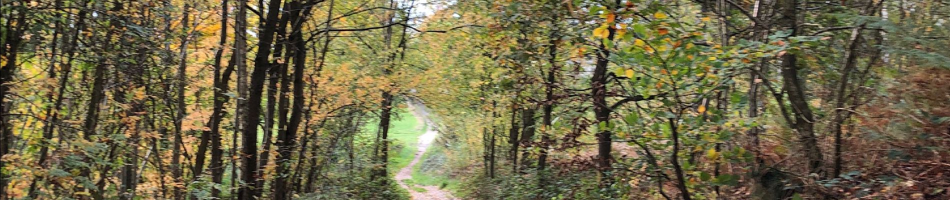 Trail Walking Villers-la-Ville - Sart-Dames-Avelines, Baisy-Thy, La Roche, Villers-la-Ville - Photo