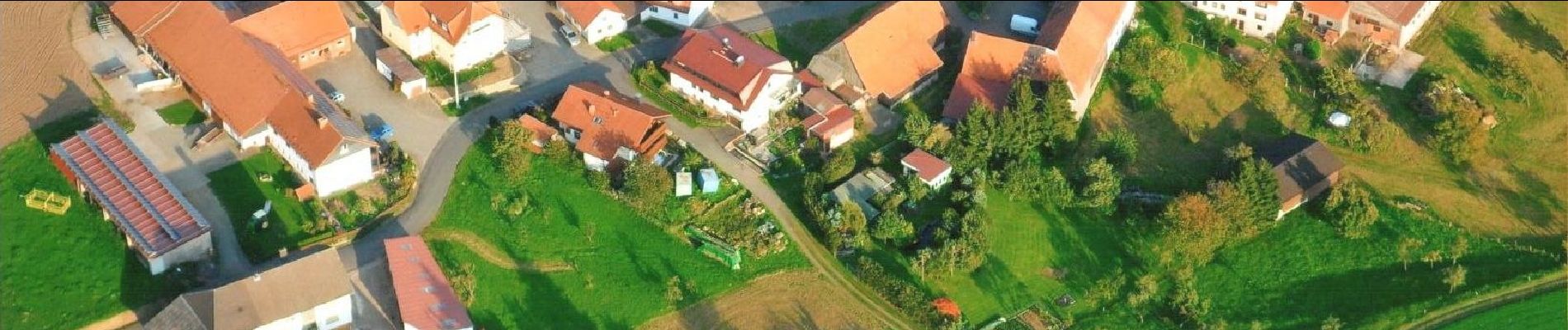 Percorso A piedi Steinau an der Straße - Ulmbach - Rundwanderweg UW - Photo