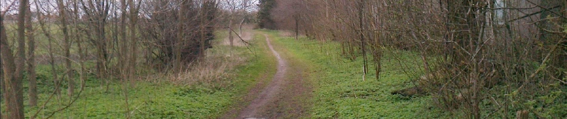 Tocht Te voet Unknown - Rød rute – Langebjerg Plantage - Photo