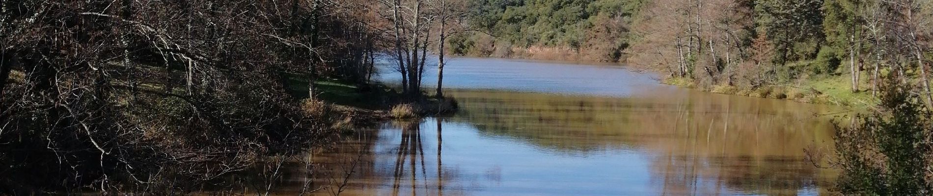 Trail Walking Fréjus - Barrage de Malpasset , lac et gorges d'Avellan - Photo