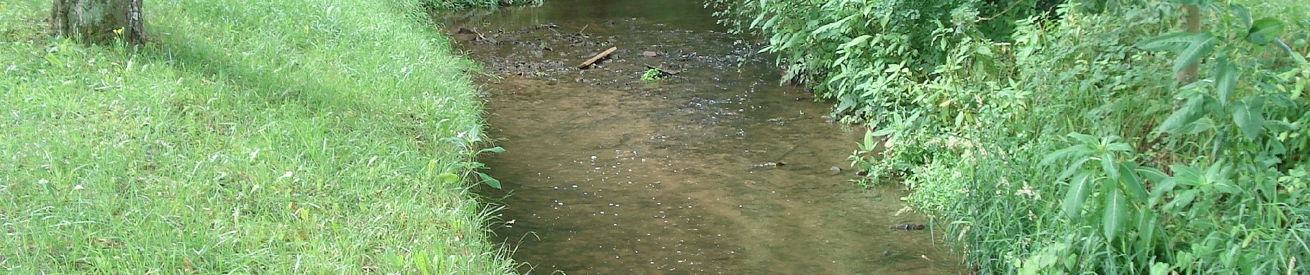 Tocht Te voet Lohr am Main - Ortswanderweg Lohr 3 - Photo