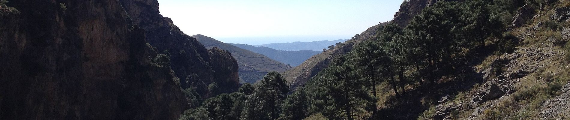 Tocht Te voet Canillas de Aceituno - Sendero El Saltillo - Photo