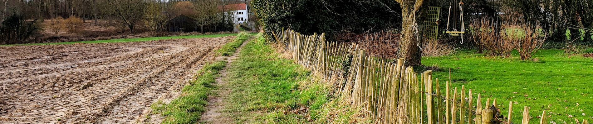 Tour Wandern Chaumont-Gistoux - Bois³ de Villers, Vieusart & Brocsous - Photo