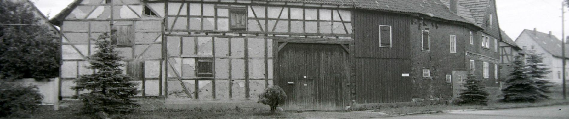 Tocht Te voet Hörselberg-Hainich - DE-gelber Balken - Photo