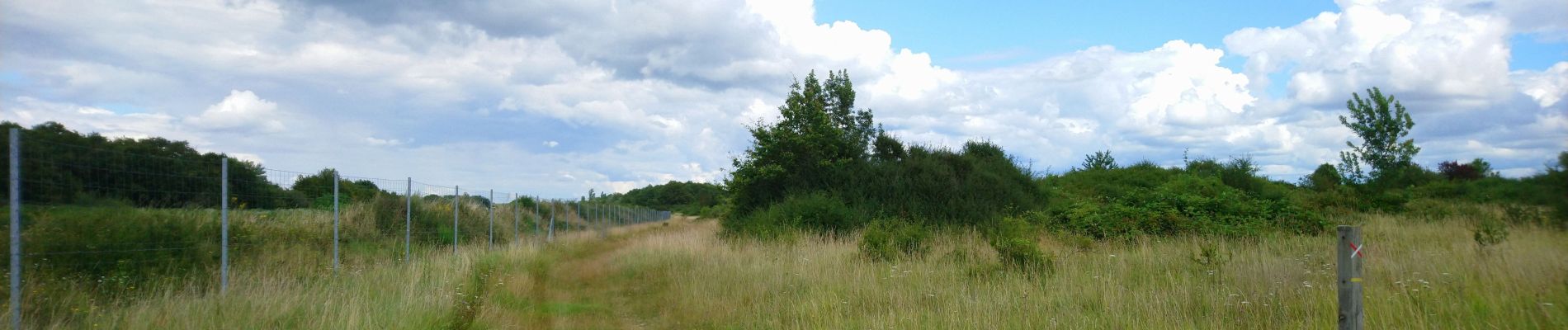 Tocht Stappen Larçay - Larcay - 12km - 2016 05 28 - Photo