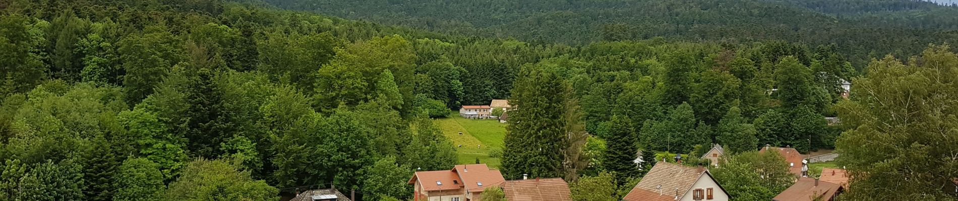 Excursión Senderismo Le Hohwald - LE HOHWALD - Photo