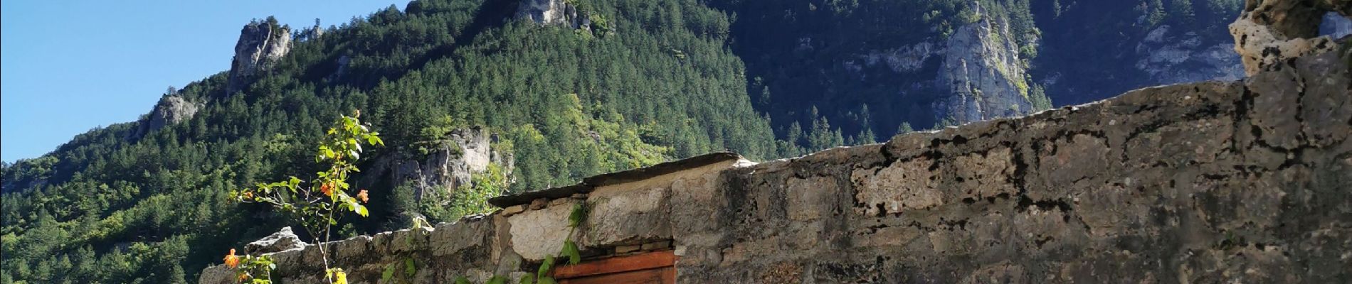 Tocht Trail Gorges du Tarn Causses - descente rando Saint enimie en courant  - Photo