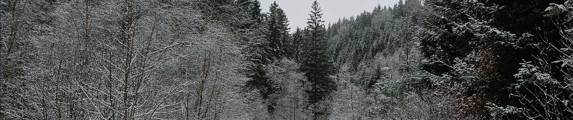 Randonnée Marche Waimes - Sur les traces de l'ultratrail 🥾 - Photo