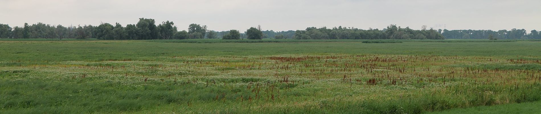 Tour Zu Fuß Unknown - Annas Weg - Photo