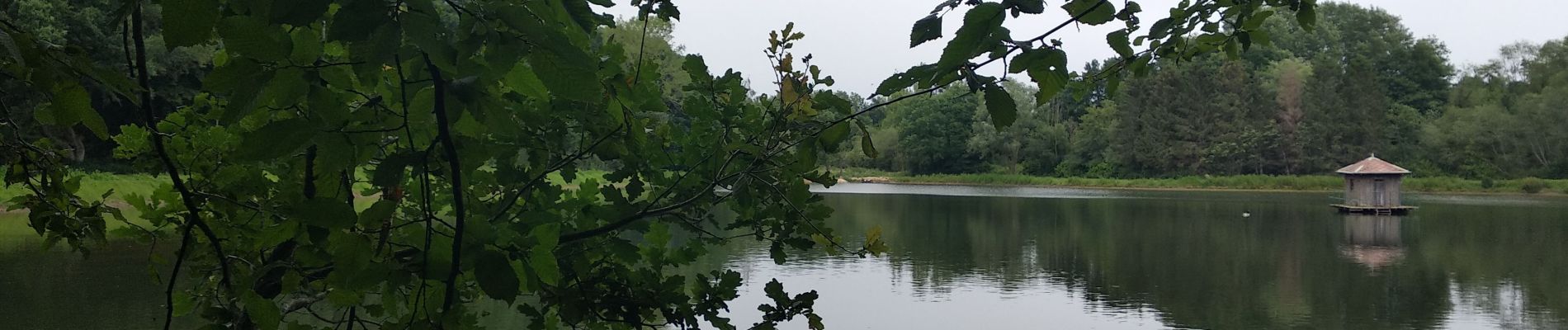 Randonnée Marche Floreffe - ELVOBAL- SOYE- JUIN 2020 - Photo