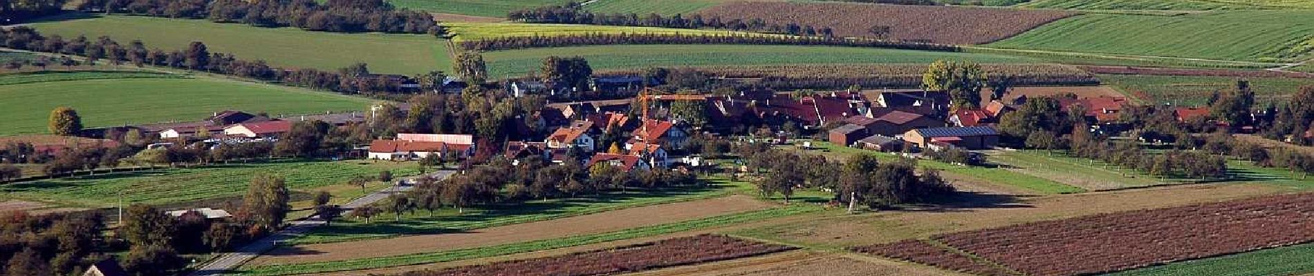 Trail On foot Oberstenfeld - DE-8 - Photo