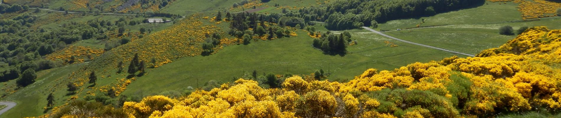 Tour Wandern Borée - Tour du Mont Mézenc 14,5km - Photo